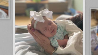 DSC Tree of Hope&nbsp;2023